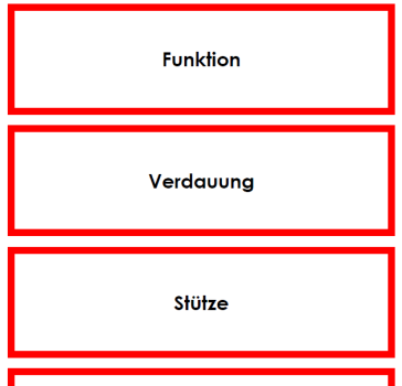 Körperfunktionen der Wirbeltierklassen